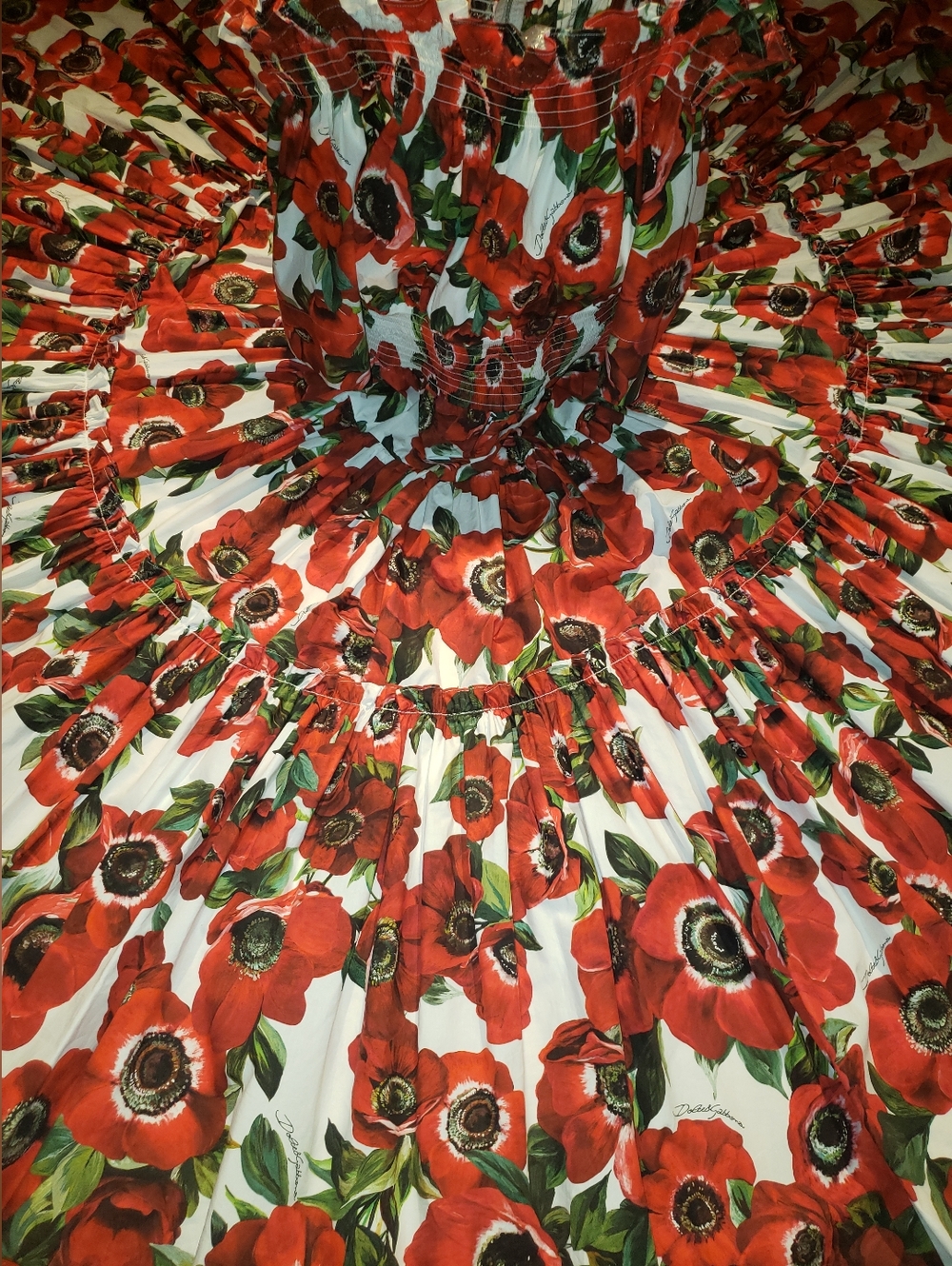 Dolce & Gabbana Iconic Red Poppy Print Vibrant Green Red Black Maxi Dress
